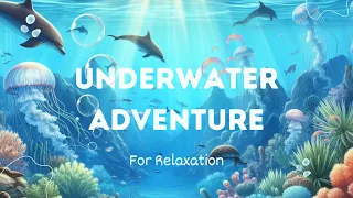 Journey to Tranquility: Experience the Majesty of the Underwater World