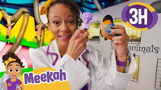 Meekah Rescues the Animals | Educational Videos for Kids | Blippi and Meekah Kids TV