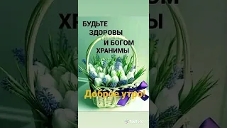 Будьте здоровы и Богом хранимы! 🤗🤗🤗