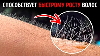 101 крайне странный факт, который вызовет удивление и оживленную беседу