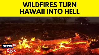 Hawaii Maui Wildfires News | Deadliest Natural Disaster In History Of Hawaii | English News | News18