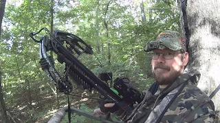 Burner 415 Crossbow Deer Hunt