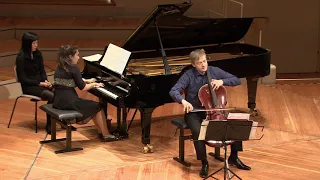 J. Brahms Sonata F Major Op. 99,  IV. Allegro molto Daniel Wachsmuth, Ludmilla Kogan