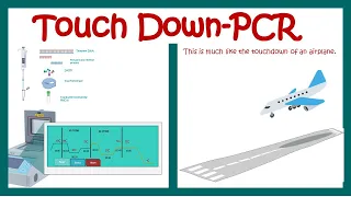 Touch down PCR