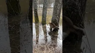 Выжить любой ценой.