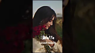 Waffa (Slowed + reverb ) Hindi Song