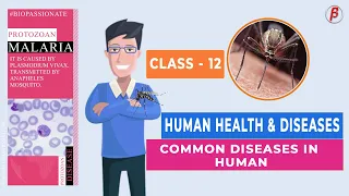 Human Health and Disease - Common Diseases in Human - CLASS 12