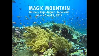 Diving Magic Mountain, Misool, Raja Ampat