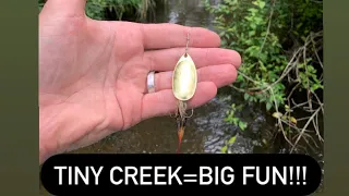 TINY CREEK Brown Trout fishing (plus showing my favorite gear!)