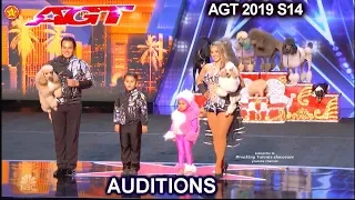 Dominguez Poodles Dog Act  FUNTASTIC  & Judges Comments | America's Got Talent 2019 Audition