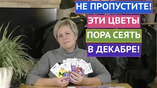 ЭТИ ЦВЕТЫ ПОРА СЕЯТЬ В ДЕКАБРЕ! ОТКРЫВАЕМ ПОСАДОЧНЫЙ СЕЗОН!