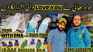 Ramdan offers || Jahangir birds shop college road rawalpindi || Offers he offers #viralvideos