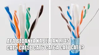 Cat5 Cat5e Cat6 Cat6a Cat7 Cat8 Apa Sih? Di Kabel Lan RJ45