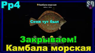 Русская рыбалка 4 Камбала морская