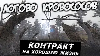 Контракт на Хорошую жизнь Прохождение (2) - [Логово кровососов. Черный ящик. Ведьмин круг]