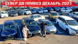 СеверДВ. Цены от 1.5🍋  до 3.5🍋  ALPHARD, ODYSSEY, LEAF, OUTLANDER PHEV.