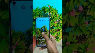 onePlus nord 2T camera photo📱daylight #oneplusnord#camera#photography#youtubeshorts#subscribe#shorts