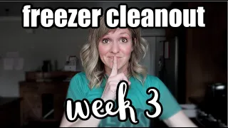 Cook with Me | Freezer Clean Out Challenge Week 3 | What's for Dinner on a Budget