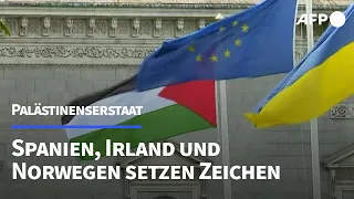 Spanien, Irland und Norwegen erkennen palästinensischen Staat an | AFP