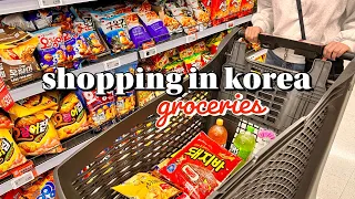 shopping in korea vlog 🇰🇷 groceries haul with prices 🛒 snacks unboxing & cooking 🧑‍🍳