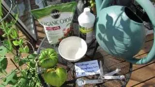 Using Organic Fish Emulsion or Fertilizer on Garden Vegetables: The Basics - The Rusted Garden 2013