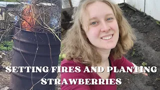 I FINALLY SET THE BIN ON FIRE & PLANTED 50 STRAWBERRY ROOTS! ♡