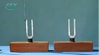 Experiments in Physics. Acoustic resonance of two tuning forks