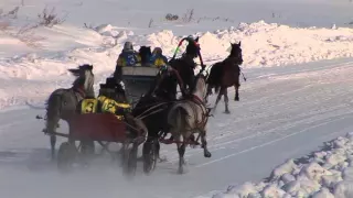 Масленица, конно спортивные соревнования в село Новая Печера