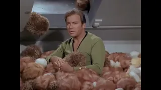 Star Trek  - The Trouble with Tribbles