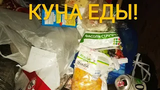 Мои находки на мусорке! День 11. НАШЁЛ МНОГО ЕДЫ И ИНТЕРЕСНЫХ НАХОДОК!