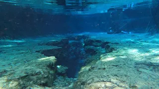 Free diving the Little Devil Spring @  Ginnie Springs, Florida 2022