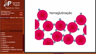 Curso de VIROLOGIA - Aula 09 de Virologia Estratégias de Replicação 2