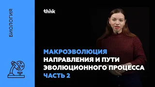 Макроэволюция. Направления и пути эволюционного процесса(часть 2) | Биология