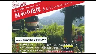 山作LLC合同会社 山梨県北杜市武川町　庭木の伐採　新規歓迎　見積無料