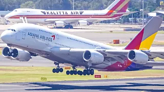 60 BIG PLANES in 60 MINUTES | A380 B747 A350 B787 A330 B777 B767 | Sydney Airport Plane Spotting