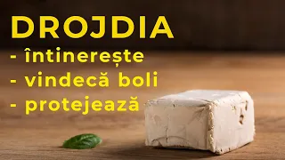 ȘTIAI CĂ DROJDIA DE BERE are beneficii multiple pentru sănătate? [drojdie inactivă - drojdie uscată]