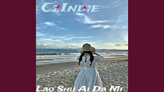 Lao Shu Ai Da Mi