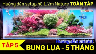 Hướng dẫn setup hồ thuỷ sinh 1m2 toàn tập - Tập 5 Bung lụa - Quới decor