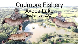 Cudmore Fishery, Avoca lake, September  2021, Catfishing uk , 💥3x 70lb+ cats💥