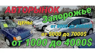 Авто от 1000$ на самом ДЕШЕВОМ рынке Украины. Запорожский авторынок 2021.