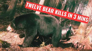 MUST WATCH ...InSaNe ...TWELVE BLACK BEAR KILLS under 3 mins