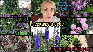 Расскажу о себе. Цветущий сад в Подмосковье. Розы Клематисы Дельфиниумы, молодило. прогулка по саду