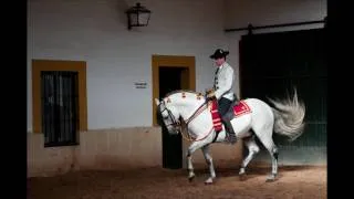 The Dancing Horses of Jerez, Andalucia
