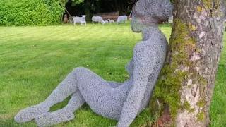 Abacon Products: Chicken Wire Sculptures