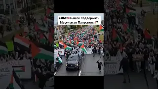 США шествие в поддержку Палестины #palestine #freepalestine