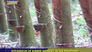 EXPANSION OF RUBBER INDUSTRY IN THE PHILIPPINES -  BIZWATCH