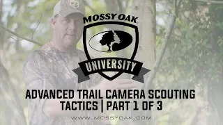 Advanced Scouting For Deer Using Trail Cameras (Part 1 of 3)