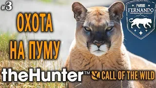 theHunter Call of the Wild #3 🔫 - Охота на Пуму - Револьвер, Винтовка - Аксис, Гарна