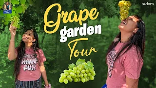 Grape Garden Tour || Trending Dhanvi || Dhanvi Vlogs || Strikers