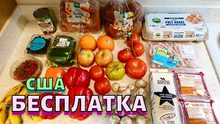 БЕСПЛАТНЫЕ ПРОДУКТЫ В США Помощь для пенсионеров в Америке